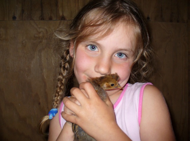Tierfan Lena mit einem Spitzhauben-Kücken im Fuchsloch